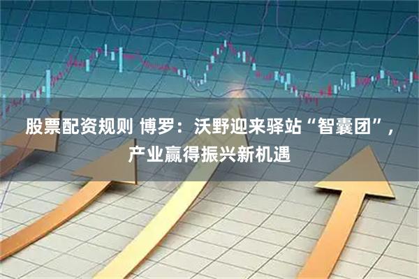 股票配资规则 博罗：沃野迎来驿站“智囊团”，产业赢得振兴新机遇