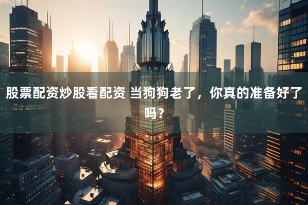 股票配资炒股看配资 当狗狗老了，你真的准备好了吗？